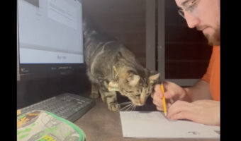 これじゃ作業にならないけど仕方ニャい？かまってほしいのか、猫がノートの上にごろりと寝転がっています！！