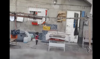 お向かいさんの前で子供が右往左往していると思ったら・・、子供ではなく後ろ脚で立ち上がり歩く犬でした!!