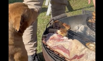 パパさんの言いつけ通りにBBQコンロを守る犬。お兄ちゃんたちが近付こうとすると・・【海外・動画】