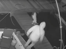 ボートの停留する桟橋で犬がジャンプ！ところが着地した場所に足場はなく・・【アメリカ・動画】