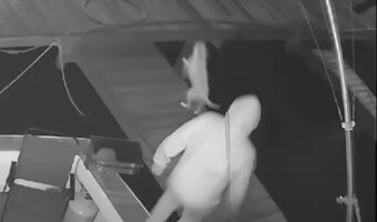 ボートの停留する桟橋で犬がジャンプ!ところが着地した場所に足場はなく・・【アメリカ・動画】