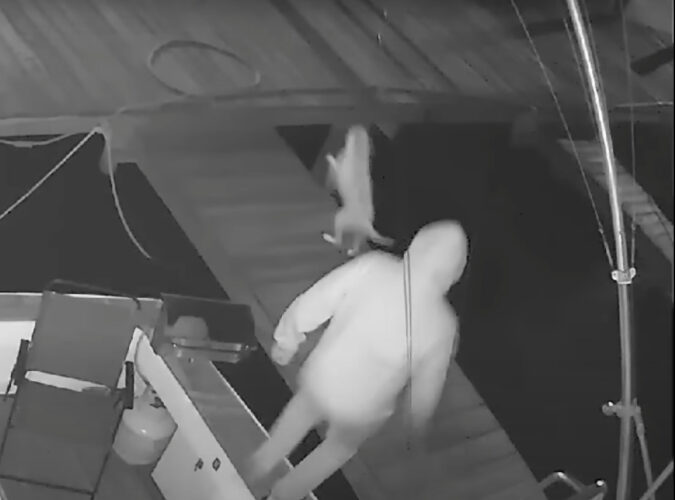 ボートの停留する桟橋で犬がジャンプ！ところが着地した場所に足場はなく・・【アメリカ・動画】