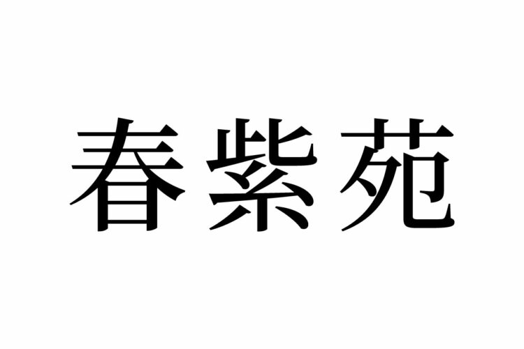 【読めたらスゴイ！】「春紫苑」って何のこと？絶対見たことある、あの植物だった！この漢字、あなたは読めますか？