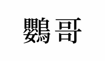 【読めたらスゴイ!】「鸚哥」って何のこと!?みんな知っている、あの生き物だった!この漢字、あなたは読めますか?