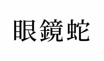 【読めたらスゴイ!】「眼鏡蛇」って何のこと!?メガネをかけたヘビ!?この漢字、あなたは読めますか?