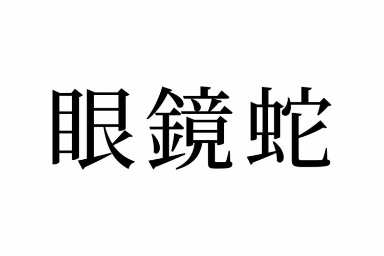【読めたらスゴイ！】「眼鏡蛇」って何のこと！？メガネをかけたヘビ！？この漢字、あなたは読めますか？