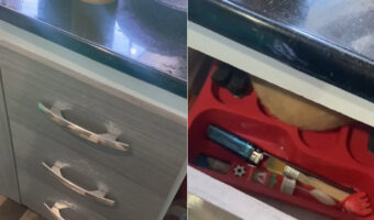 キッチンの引き出しをベッドにしている子がいる!?カトラリーがひんやりしていて寝心地がいいんでしょうか?