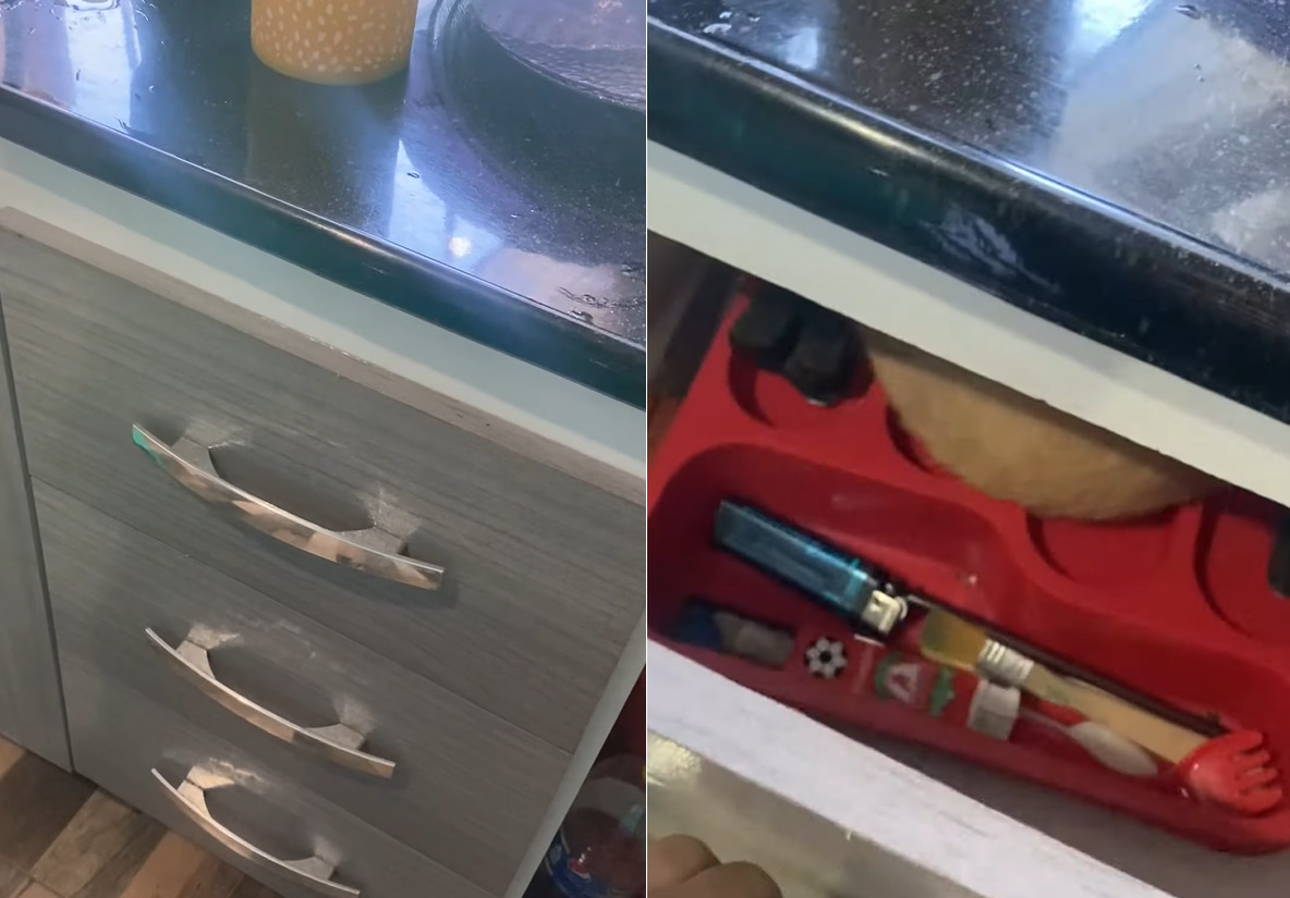 キッチンの引き出しをベッドにしている子がいる!?カトラリーがひんやりしていて寝心地がいいんでしょうか?