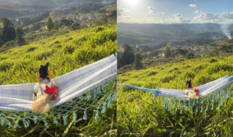 街のリーダーはニワトリ？街を見下ろす丘でハンモックに横になり、すっかりくつろいでいます！！