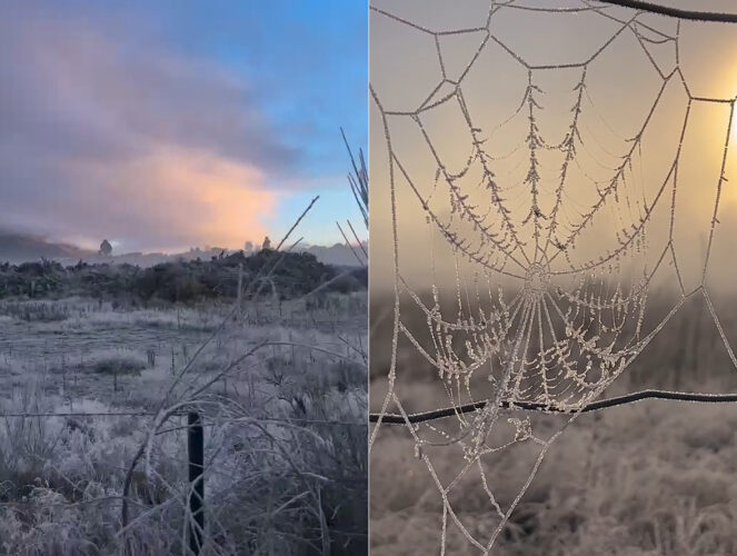 今の時期、南半球にあるニュージーランドは冬！ハウェア湖をサイクリングしたら辺り一面冬景色です！！