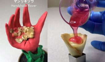 【マンリキソウの調理法】シュールな展開とユニークなナレーションが必見！食べられる『未確認生物』を調理する動画が画期的！