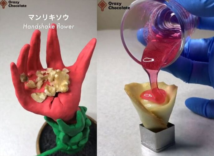 【マンリキソウの調理法】シュールな展開とユニークなナレーションが必見！食べられる『未確認生物』を調理する動画が画期的！