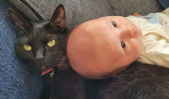 乳児が泣き出すも手が回らない状況・・・乳児はすぐに泣き止み、なぜかと思ったら黒猫が肩を貸していた！！