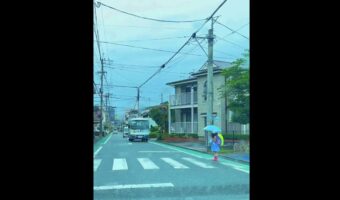 ほっこり映像に5万いいね!横断歩道を渡る小学生の律儀さに心が洗われる「なんて優しい世界・・・」