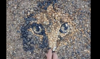 小石と砂利は無限のキャンパス！？色とりどりの小石を並べていくと・・、ステキな作品ができあがりました！！