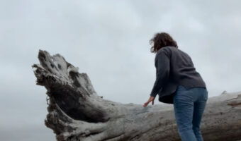 巨大な流木を見つけたという女性。木をタッチできる場所まで移動するとその大きさにビックリ!!ありえない巨木でした