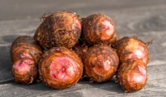 里芋と似た「セレベス」とはどんな食べ物?その名前の由来や里芋の違いを解説!