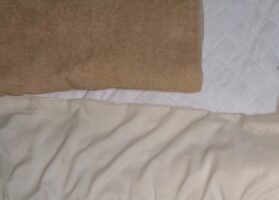 いつも一緒に寝ようと端で待っていてくれる愛犬が可愛すぎる！「ちゃんとスペース開けて待ってるなんて、愛を感じます」