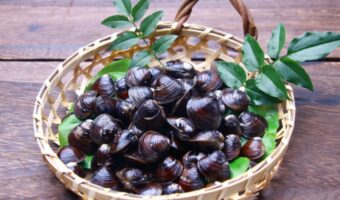 「土用しじみ」とはどんなシジミ?いつ食べるものなの?