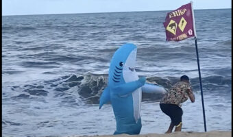 新作のサメ作品はサメが人を救う?!事故が後を絶たない危険な海に入ろうとする男性を、サメが必死に制止します!!