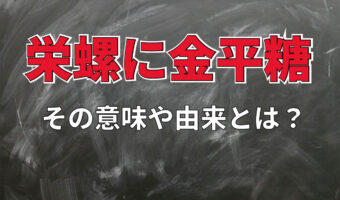 「栄螺に金平糖」この言葉はどんな意味？なぜこの組み合わせなの？