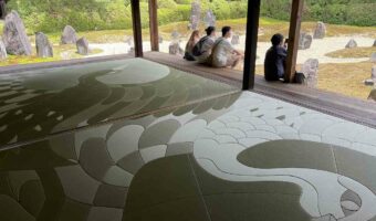 「これが同じ色だなんて信じられない」全て同じ色の畳なのに、光の反射を利用した畳の鶴がすごい！