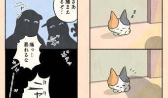 Twitterで話題の漫画「猫と飼い主をつなぐ、”もしも”と”まさか”の物語」これは惹きこまれる！③