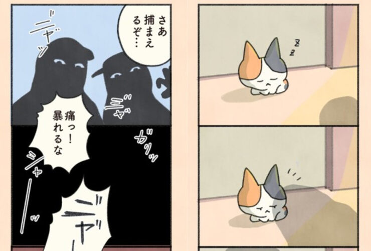 Twitterで話題の漫画「猫と飼い主をつなぐ、”もしも”と”まさか”の物語」これは惹きこまれる！③