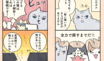 Twitterで話題の漫画「猫と飼い主をつなぐ、”もしも”と”まさか”の物語」これは惹きこまれる！④