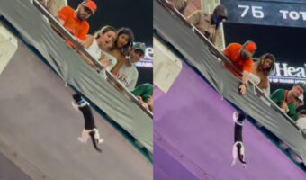 NFLの試合中に猫さん大ピンチ!試合そっちのけでみんな一丸となり猫さんを救う!