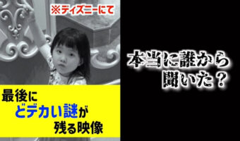 何で知ってるの!?知らないはずのディズニーの隠しギミックを言い当てた4歳児の謎