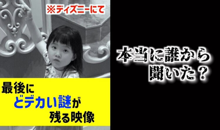 何で知ってるの！？知らないはずのディズニーの隠しギミックを言い当てた4歳児の謎