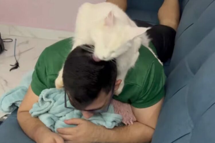 グルーミングしてあげるのが大好きな猫。他のネコだけでなく、スマホに夢中な飼い主さんの頭もペロペロします！！【海外・動画】