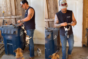 ごはんのおねだり？子猫たちがご飯の準備をするパパさんの体をぐいぐい登っていく！！【アメリカ・動画】