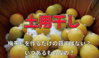 夏土用にある「土用干し」とはなに？この日は梅干し作り以外にも干すものがあるんです！！