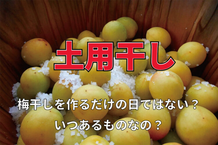 夏土用にある「土用干し」とはなに？この日は梅干し作り以外にも干すものがあるんです！！