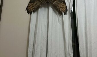 トイレから帰ってきたら・・・カーテンレールに巨大なセミが乗っていた！？一瞬目を疑う驚きの光景が話題に！