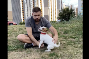 驚きの特技を披露したジャックラッセル。筋肉質の体から繰り出される美しくてしなやかな技にビックリ！！【海外・動画】