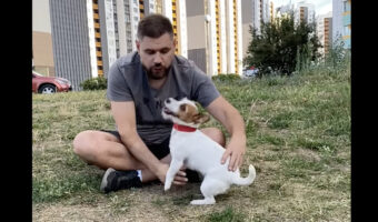 驚きの特技を披露したジャックラッセル。筋肉質の体から繰り出される美しくてしなやかな技にビックリ!!【海外・動画】