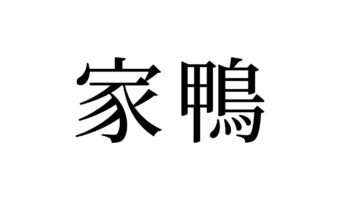 【読めたらスゴイ!】「家鴨」って何のこと!?一度は見たことがあるハズ!この漢字、あなたは読めますか?