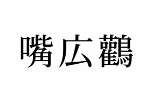 【読めたらスゴイ！】「嘴広鸛」って何のこと！？動物園にもいる、あの鳥のことでした。この漢字、あなたは読めますか？