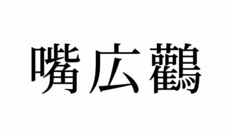 【読めたらスゴイ!】「嘴広鸛」って何のこと!?動物園にもいる、あの鳥のことでした。この漢字、あなたは読めますか?