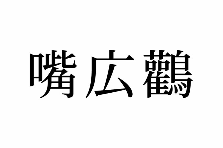 【読めたらスゴイ！】「嘴広鸛」って何のこと！？動物園にもいる、あの鳥のことでした。この漢字、あなたは読めますか？