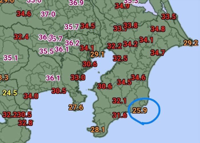 えっ！？『勝浦』が避暑地？猛暑に見舞われる関東で、勝浦を避暑地と提言するツイートとその根拠が話題に！