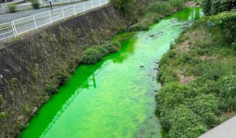 奈良県生駒市を流れる竜田川がバスクリン色に!?一体何が流出した!?現地の調査の結果は・・・