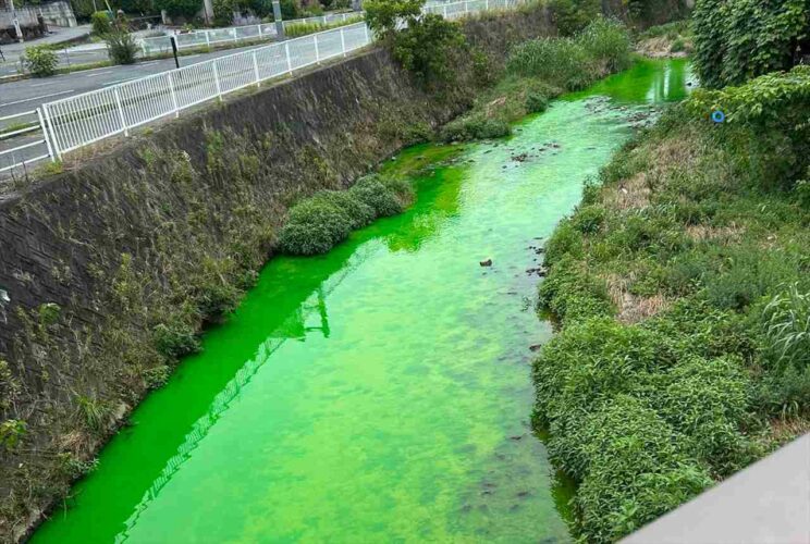 奈良県生駒市を流れる竜田川がバスクリン色に！？一体何が流出した！？現地の調査の結果は・・・