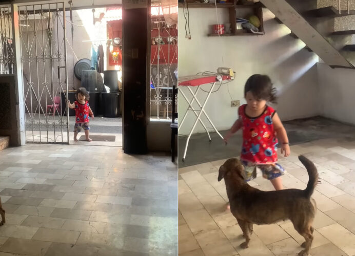 お家にやってきた幼い男の子。お家に入ってまず最初にする事がキュート過ぎる！！【海外・動画】