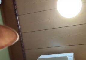 新種の妖怪か！？カメラが捉えた『謎の生物』の正体とは？舌を出しながら、ゆっくりと登場したのは・・・