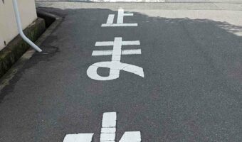 「止まれ」の路面標識で止まっていたコーギーにツッコミを入れるツイートが話題に!「今日イチ笑って癒されました」