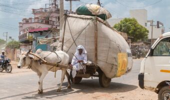 「そうは問屋が卸さない」とはどんな意味？その成り立ちや用い方も解説！！